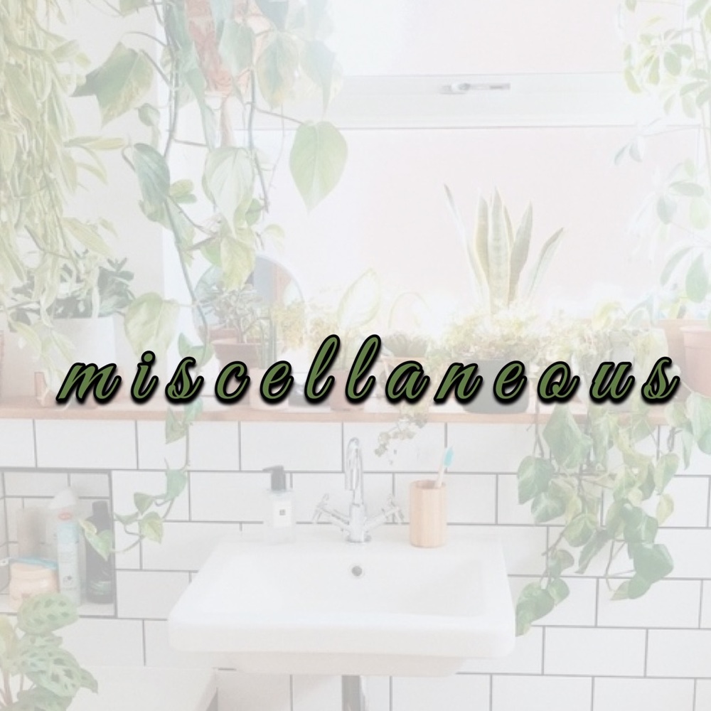 ❁ miscellaneous ❁